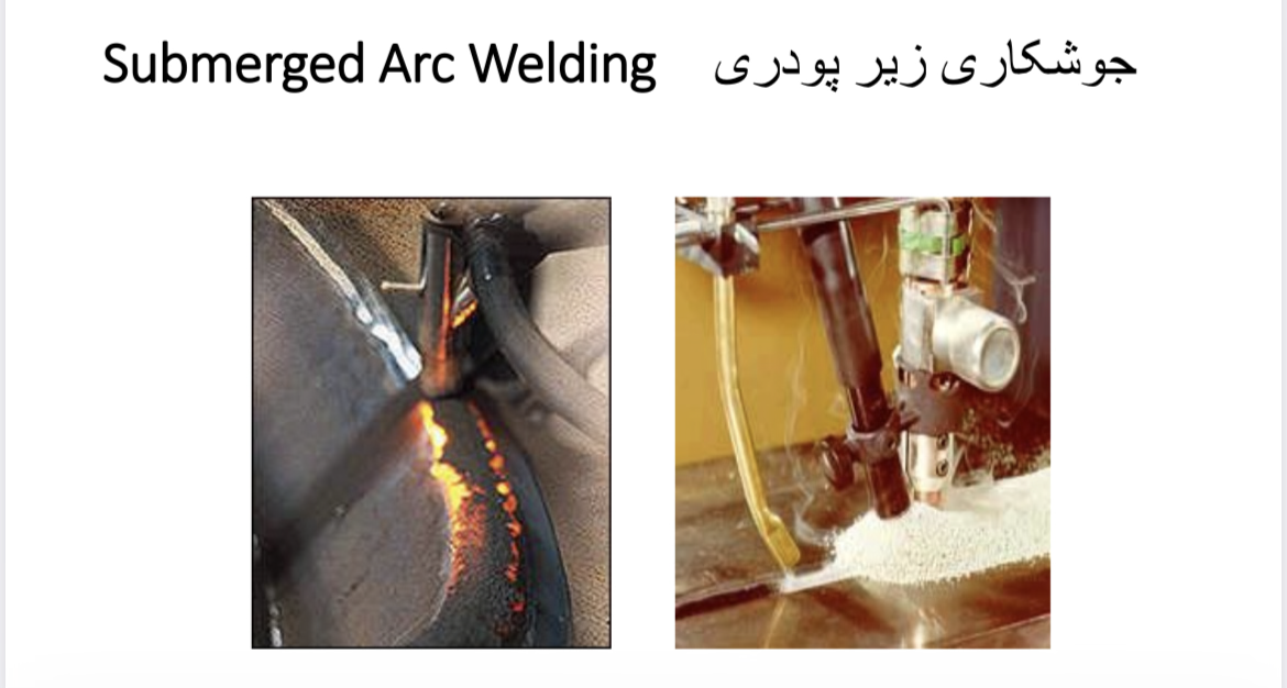 IMG_3131.png